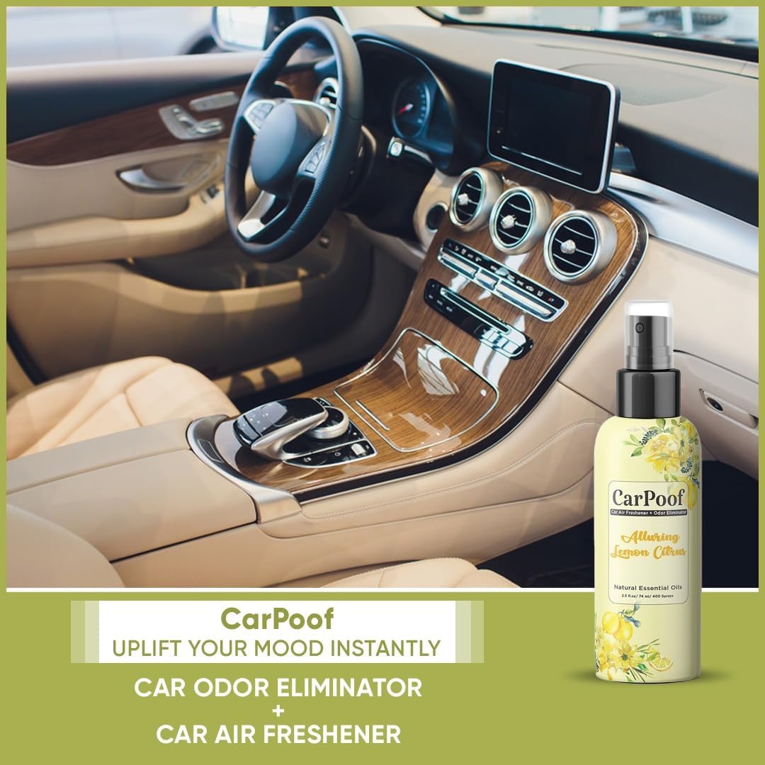 Lemon Mint Car Air Freshener natural non toxic and car odor eliminator for Clean Fresh Car, naturally fading, short lasting scent 400+ Sprays 2.5 oz Travel Size